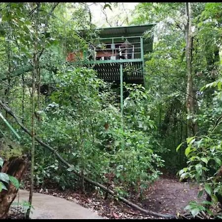 Jungle Living Tree Houses Monteverde 외부 사진