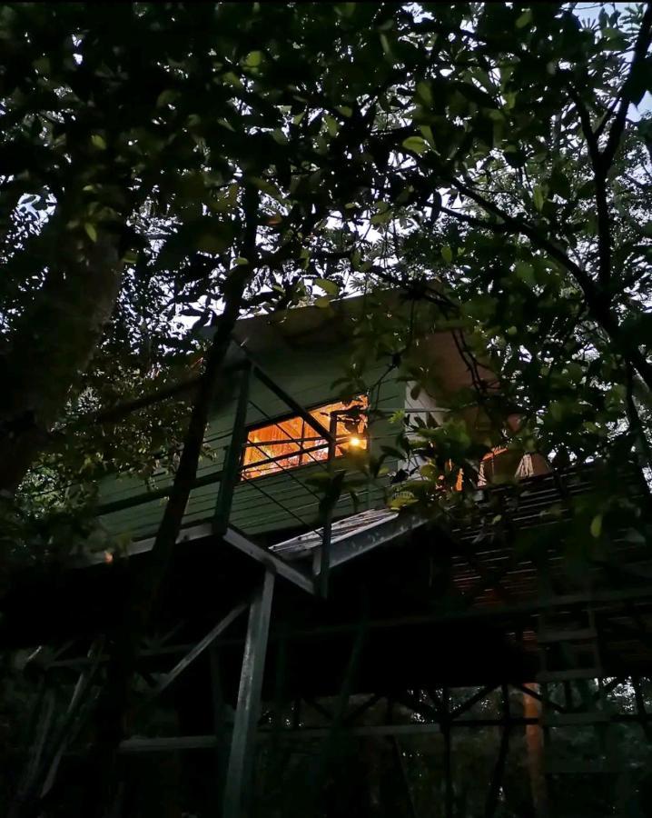 Jungle Living Tree Houses Monteverde 외부 사진