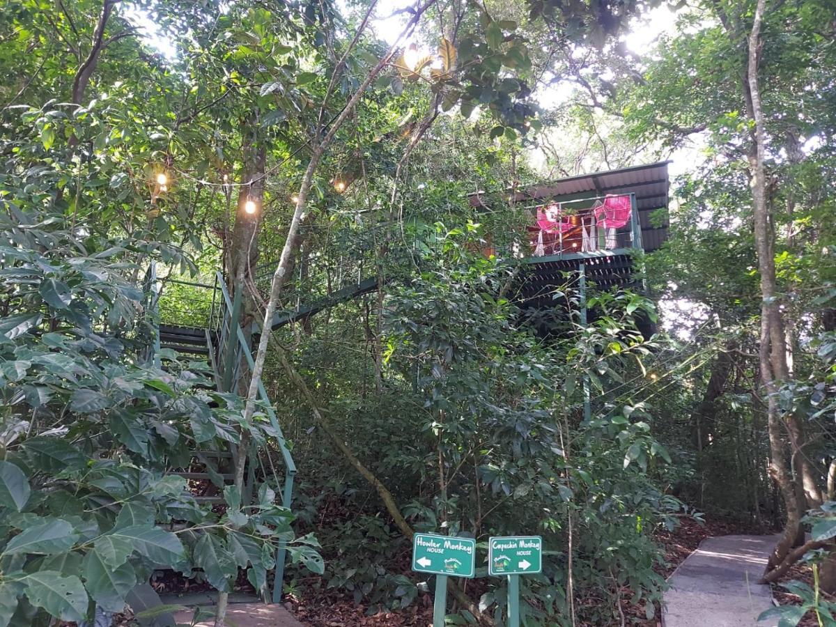 Jungle Living Tree Houses Monteverde 외부 사진
