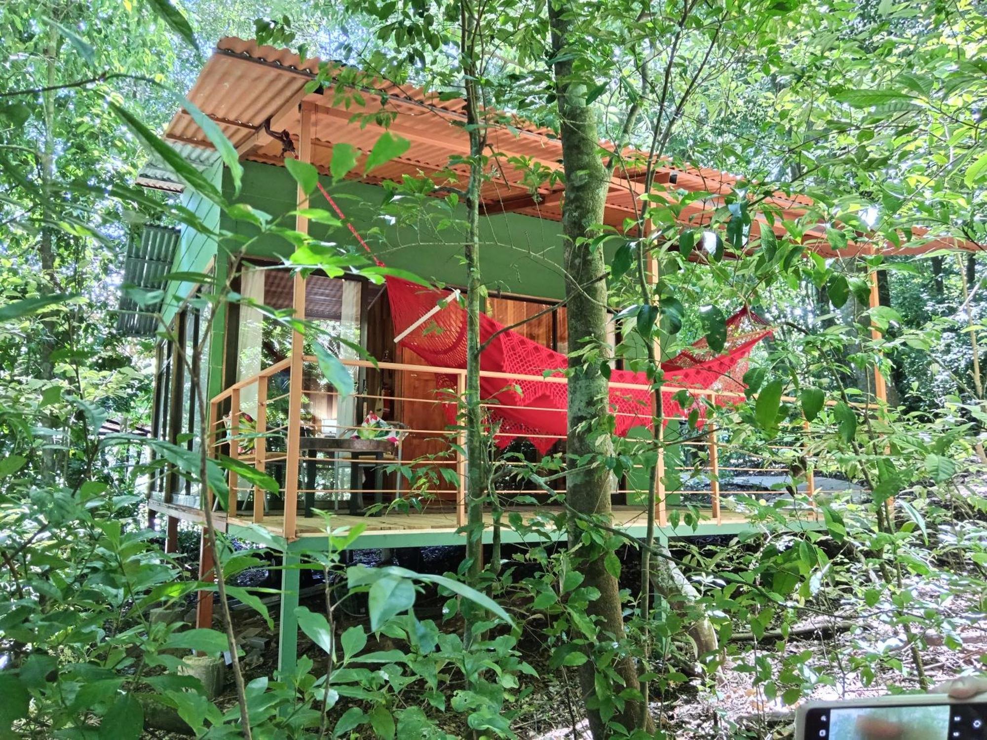 Jungle Living Tree Houses Monteverde 외부 사진
