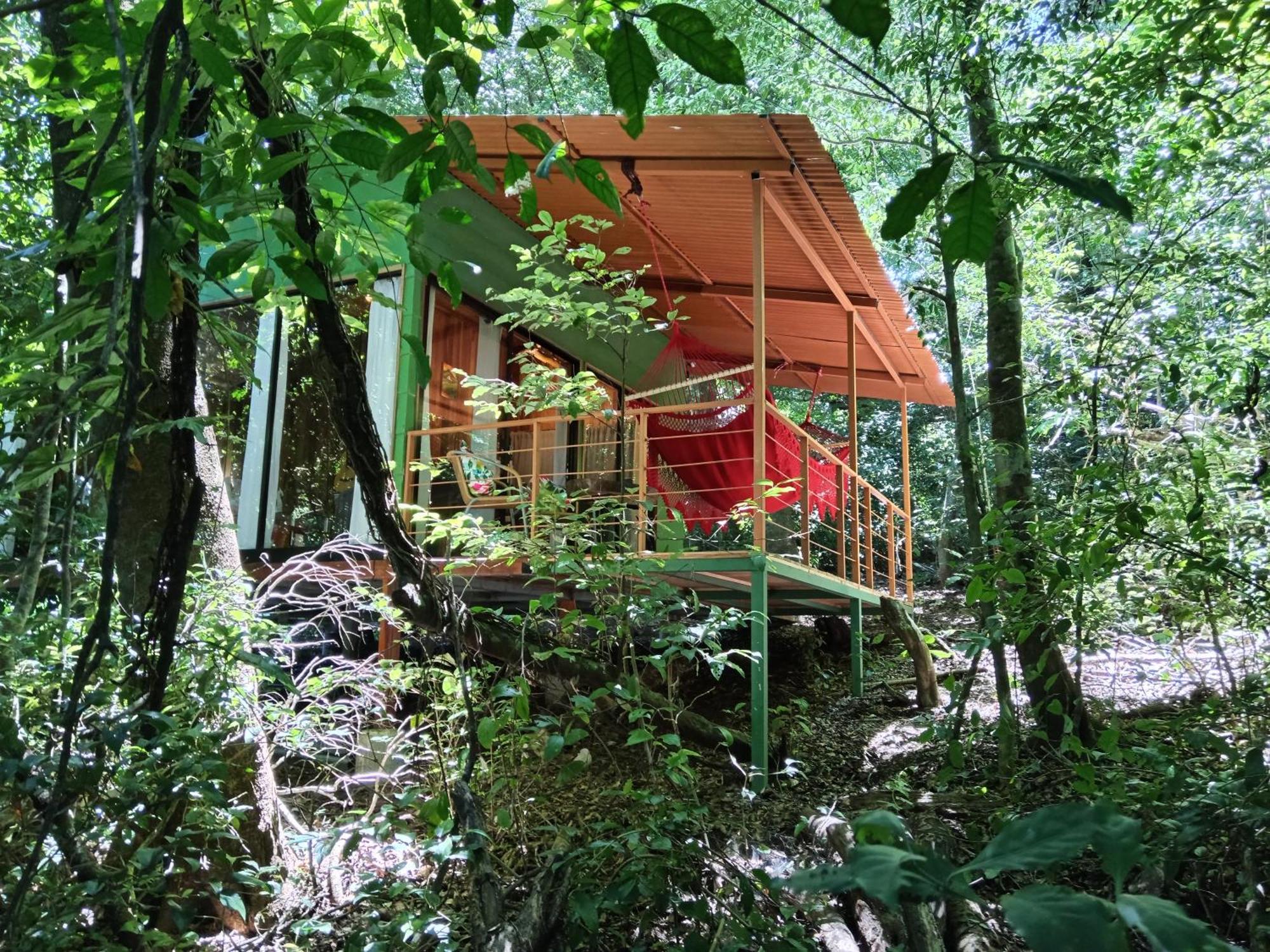 Jungle Living Tree Houses Monteverde 외부 사진