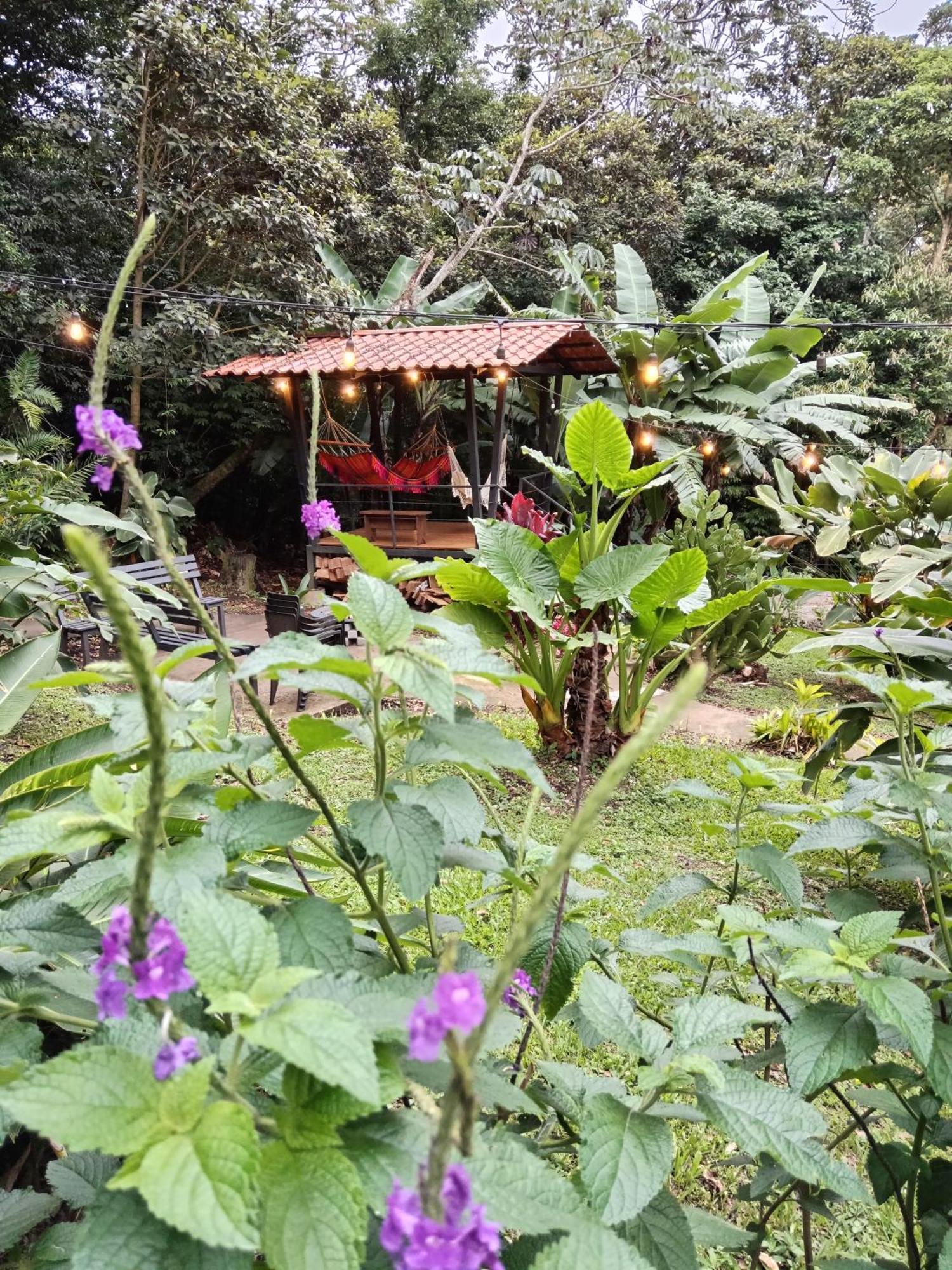 Jungle Living Tree Houses Monteverde 외부 사진