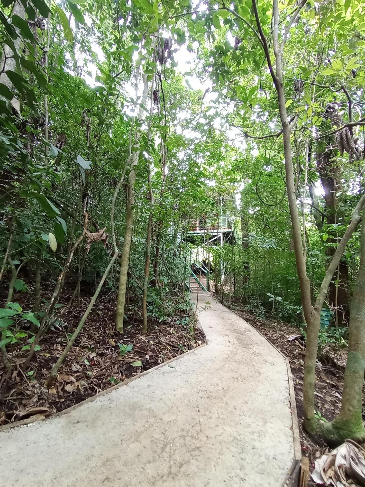 Jungle Living Tree Houses Monteverde 외부 사진