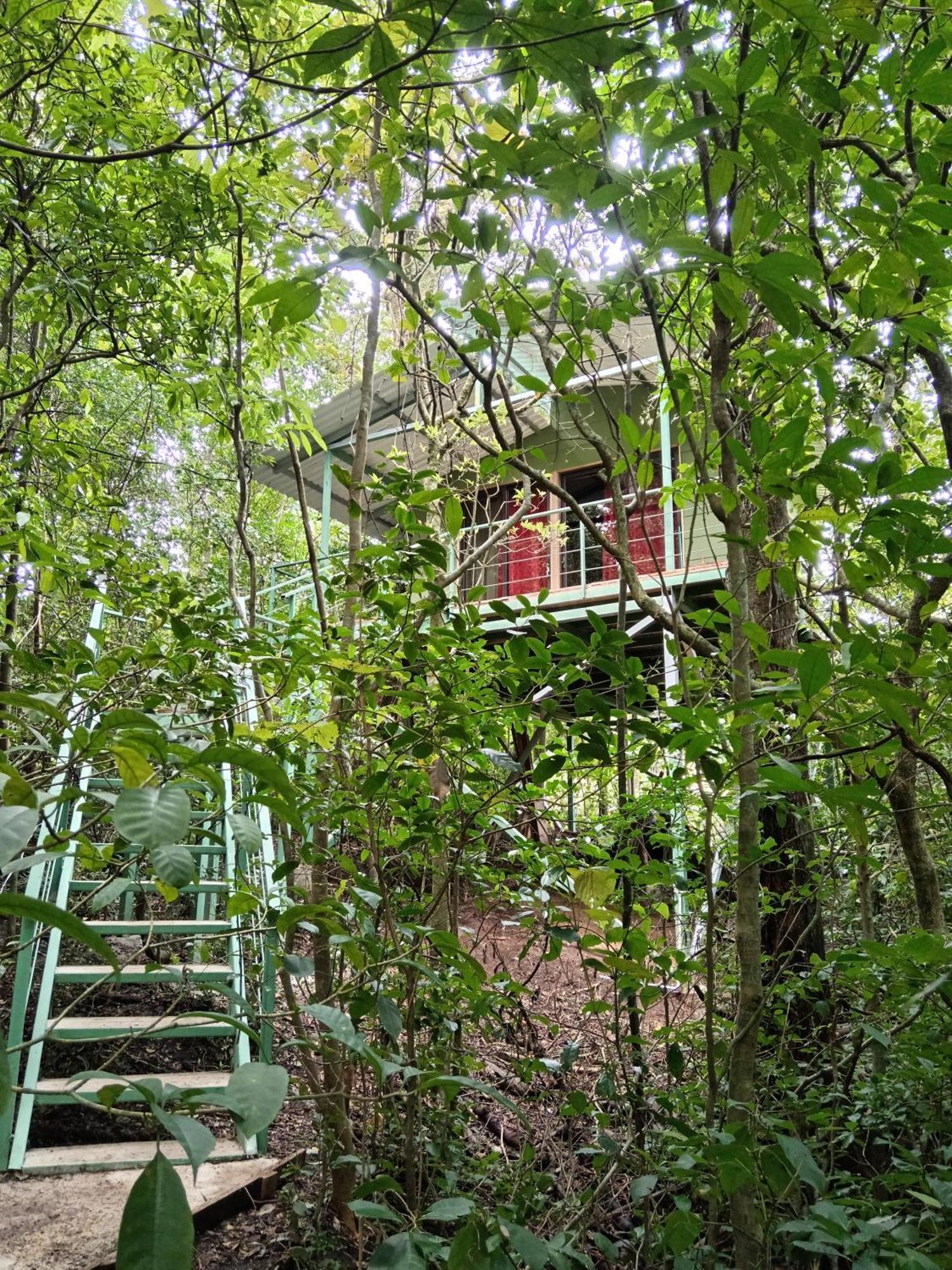 Jungle Living Tree Houses Monteverde 외부 사진